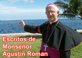 Escritos de Monseñor Agustín Roman