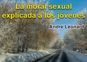 La moral sexual explicada a los jóvenes