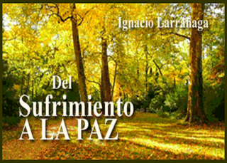 Del sufrimiento a la paz