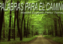 Palabras para el camino