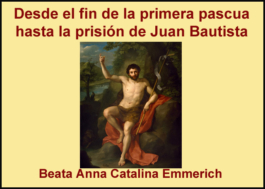 Desde el fin de la primera pascua hasta la prisión de Juan Bautista Tomo V