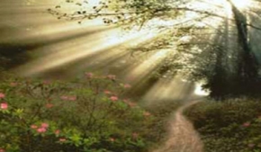 Los caminos de Dios