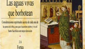 Las aguas vivas que borbotean
