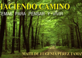 Haciendo Camino