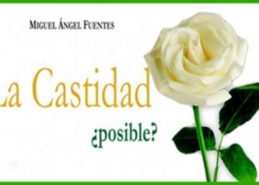 La Castidad ¿posible?