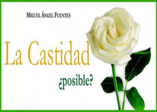 La Castidad ¿posible?