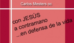 Con Jesús a contramano en defensa de la Vida