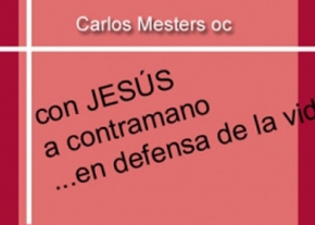 Con Jesús a contramano en defensa de la Vida