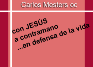 Con Jesús a contramano en defensa de la Vida