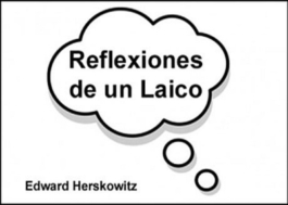 Reflexiones de un Laico