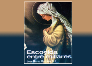 Escogida entre millares