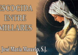 Escogida entre millares