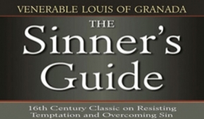 The Sinner's Guide
