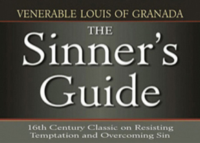 The Sinner's Guide