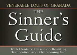 The Sinner's Guide
