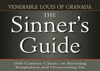 The Sinner's Guide