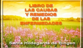 Libro de Las Causas y Remedios de las enfermedades