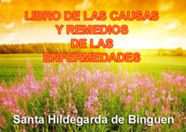 Libro de Las Causas y Remedios de las enfermedades