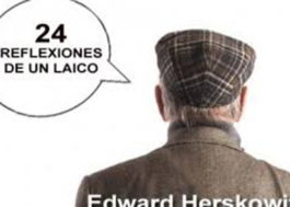 24 Reflexiones de un Laico