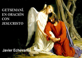 Getsemaní. En oración con Jesucristo