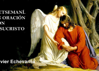 Getsemaní. En oración con Jesucristo