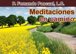 Meditaciones en camino