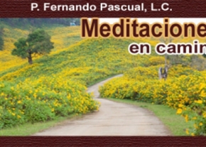 Meditaciones en camino