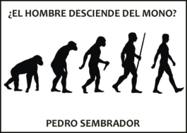 ¿El hombre desciende del mono?