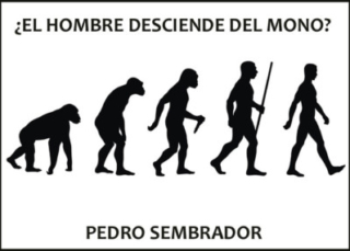 ¿El hombre desciende del mono?