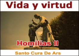 Vida y virtud. Homilías