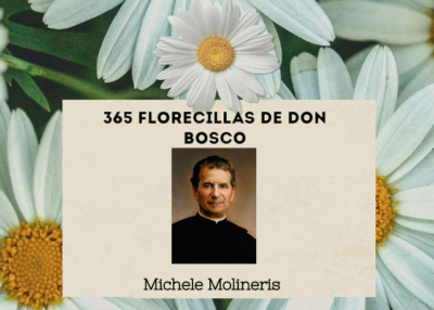 Libro eBook 365 florecillas de Don Bosco