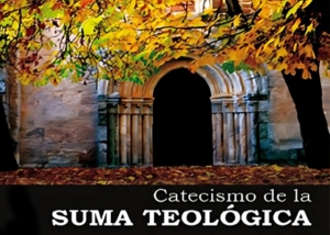 Libro eBook Catecismo de la Suma Teológica