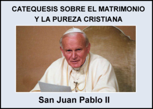 Libro eBook Catequesis sobre El Matrimonio y La Pureza Cristiana