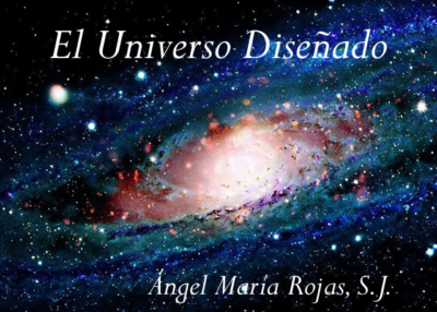 Libro eBook PDF El Universo Diseñado