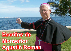 Libro eBook Escritos de Monseñor Agustín Roman