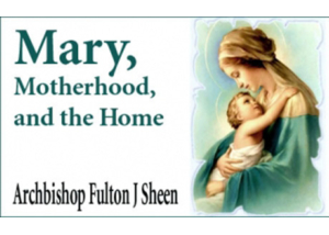Book eBook Mary, Motherhood, and the Home