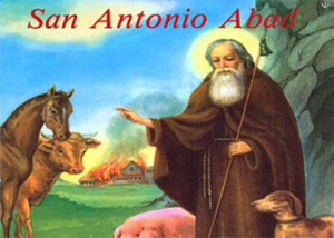 Libro eBook San Antonio Abad y San Pablo Ermitaño