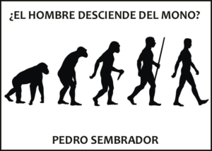 Libro eBook ¿El hombre desciende del mono?