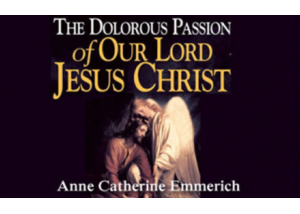 Book eBook The Dolorous Passion of Our Lord Jesuchrist