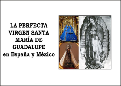 Libro eBook La Perfecta Virgen Santa María de Guadalupe en España y México