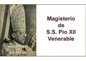 Libro eBook Magisterio de S.S. Pío XII